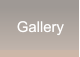 Gallery Gallery